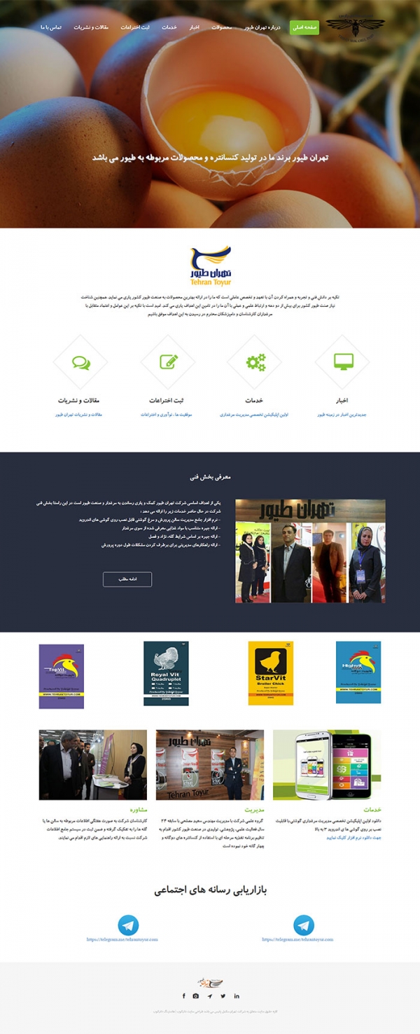 طراحی سایت تهران طیور